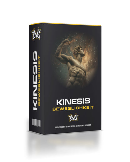 SMB KINESIS - BEWEGLICHKEIT